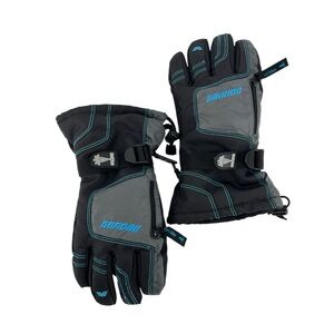 Gordini Winter Gloves
